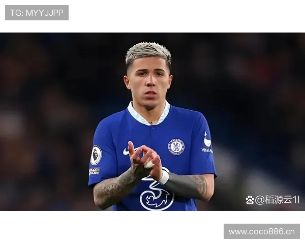 恩佐与麦卡利斯特：世界杯中场角色分工及战术影响力解析